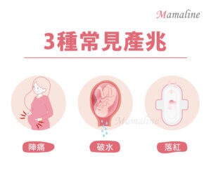 Mamaline 第三孕期 懷孕後期