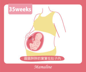 35週胎兒圖